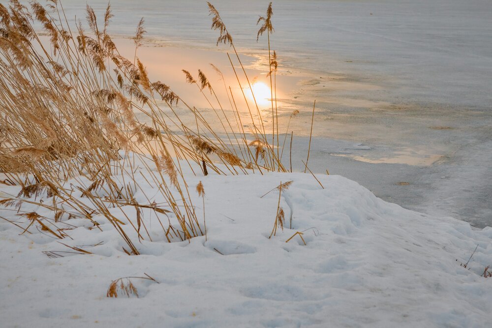 Photograph by Роман Гурененко