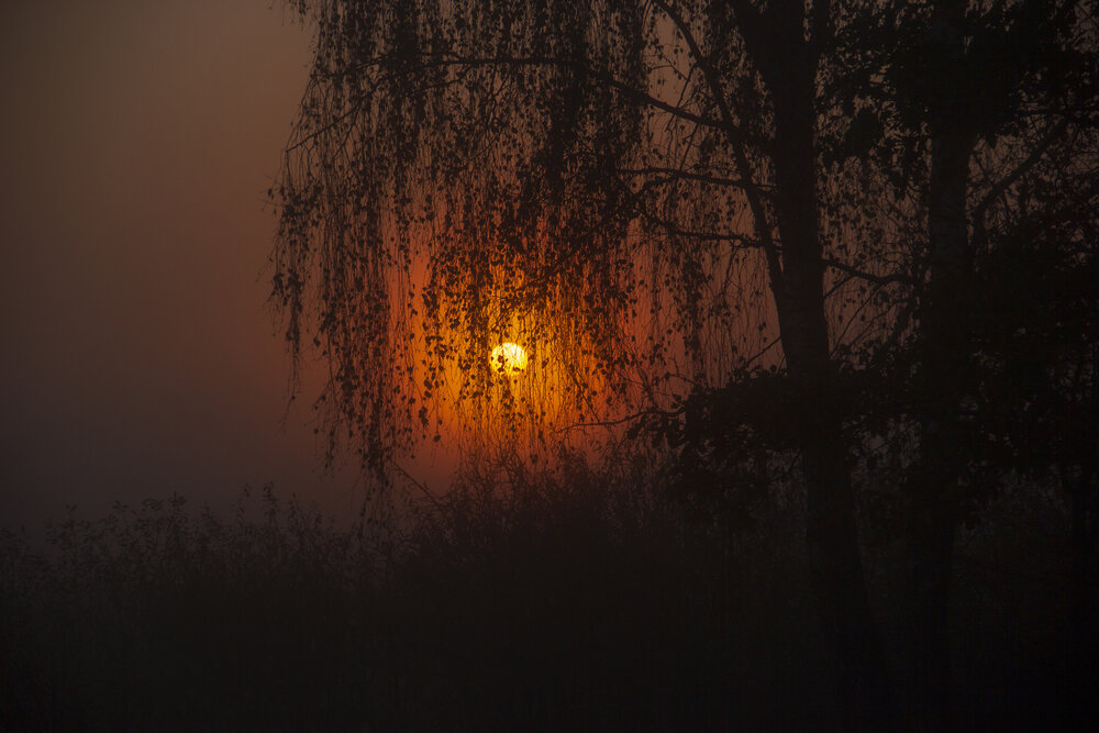 Photograph by Анна-Лаймуте Милошевич