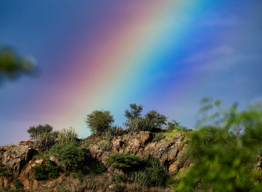 Photograph by Devashish Gupta