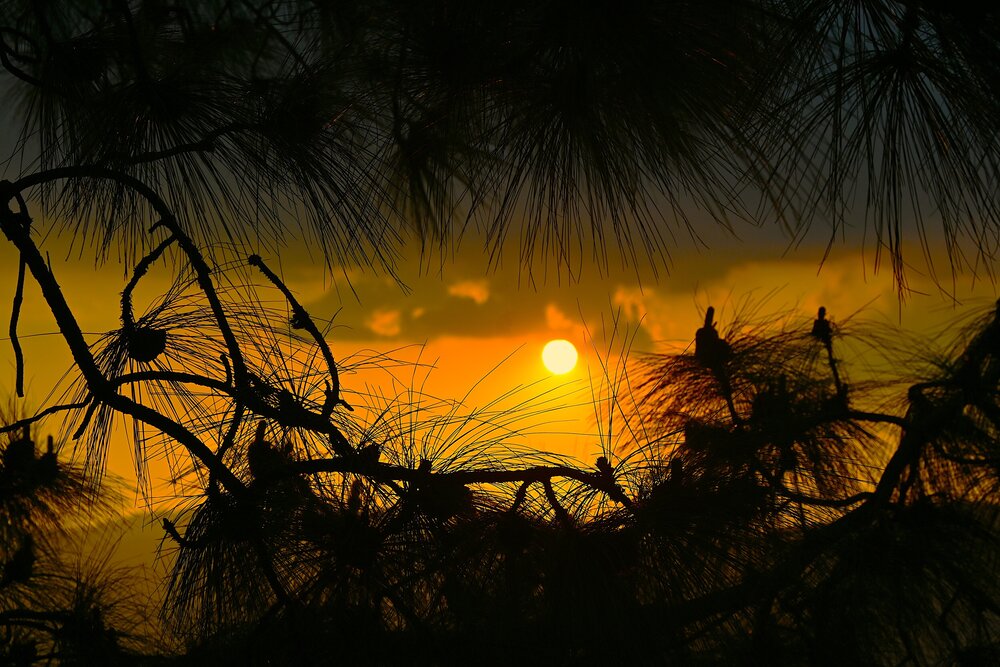 Photograph by Raushan Kumar