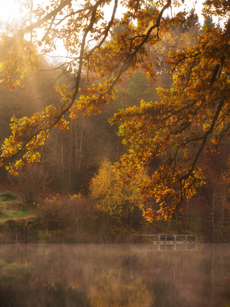Photograph by Olga Schmidt
