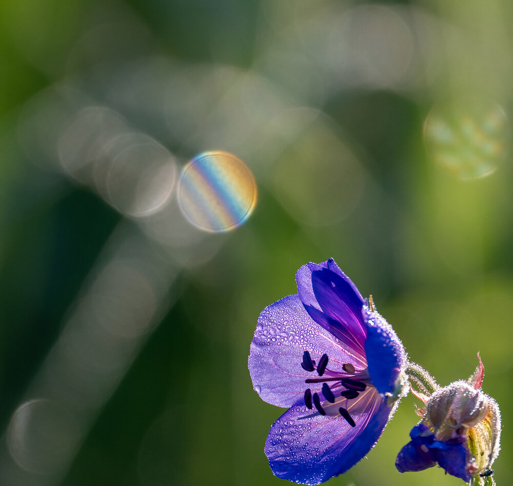 Photograph by Дмитрий Ткаченко