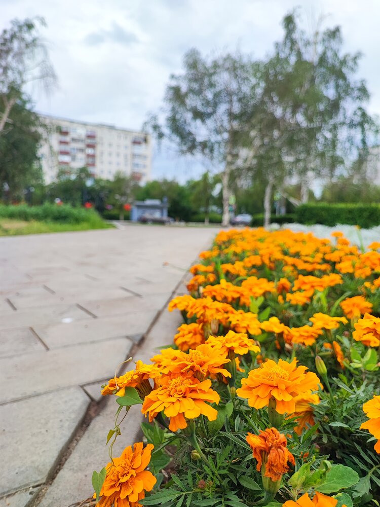 Photograph by Iskander
