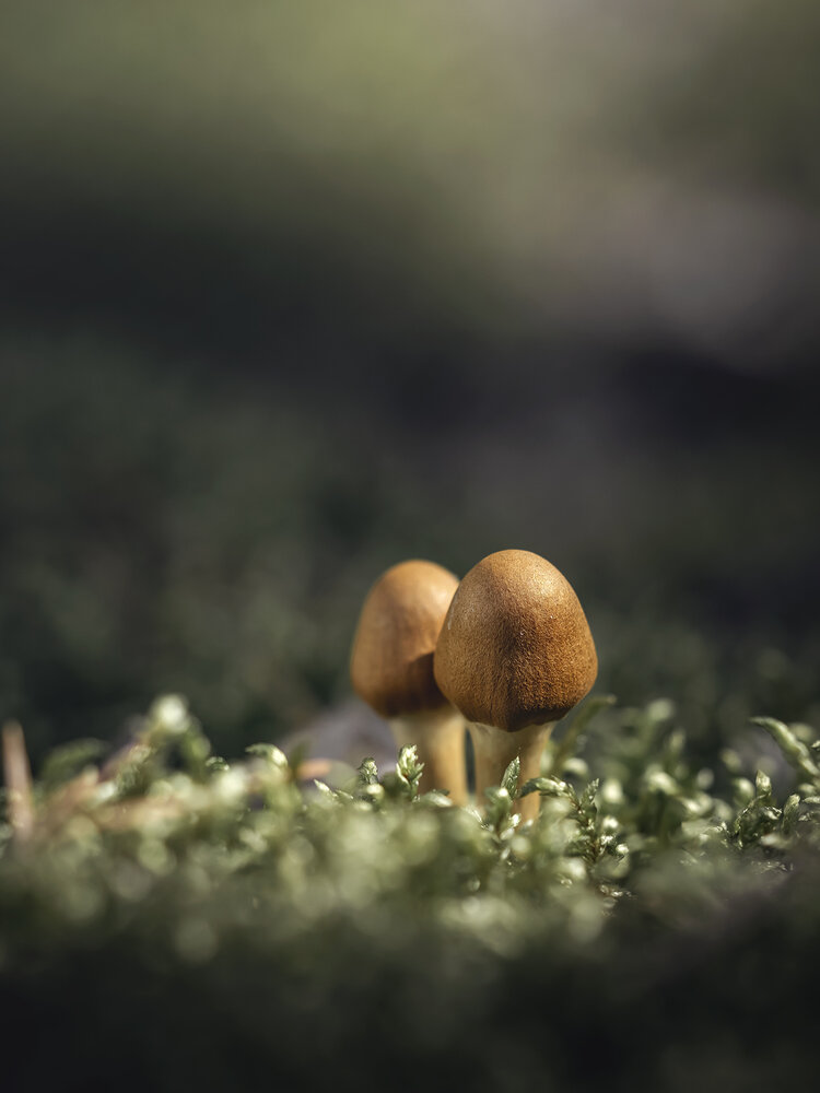 Photograph by Людмила Завьялова
