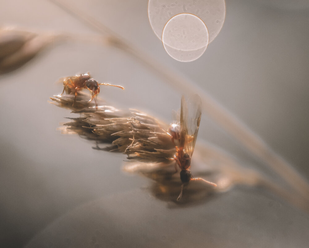Photograph by Любовь Бусова