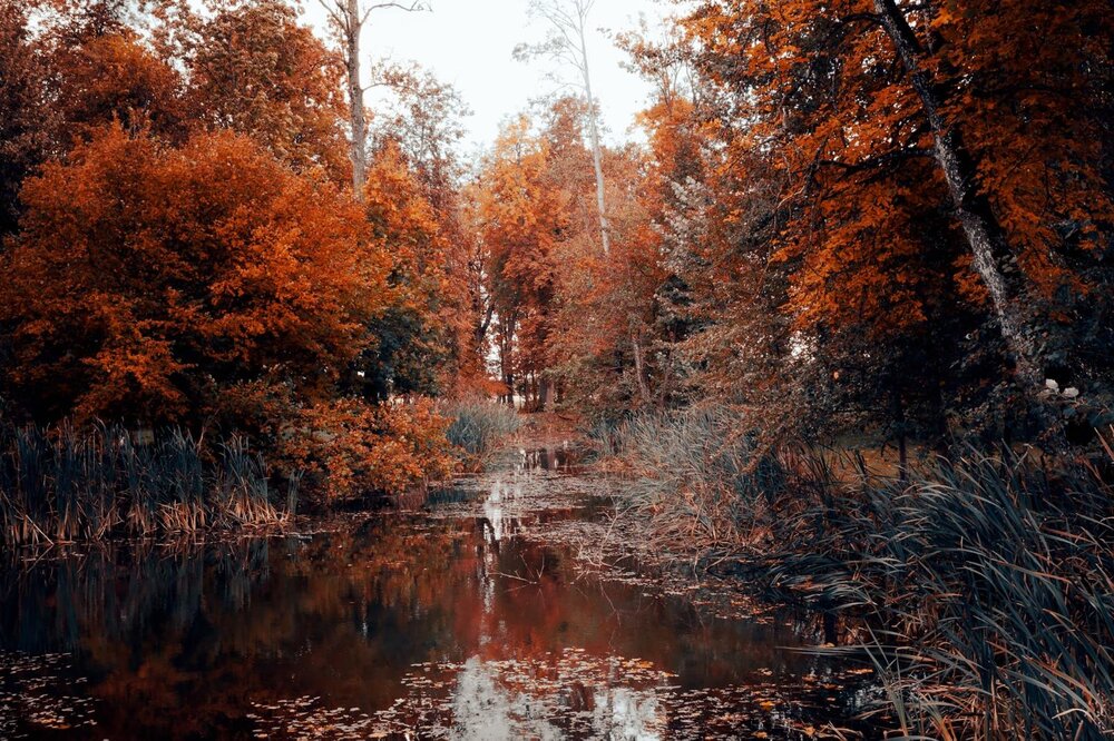 Photograph by Рихард Мисан