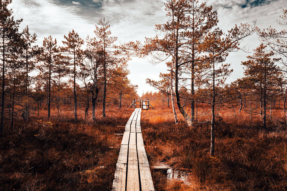Photograph by Рихард Мисан