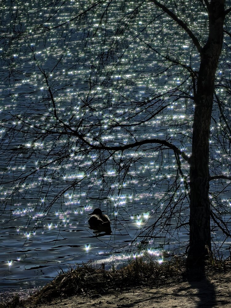 Photograph by Елена Охапкина