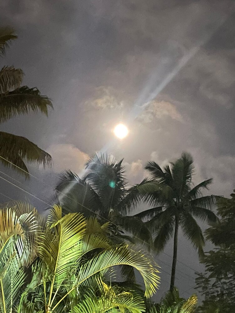 Photograph by Ruhi P