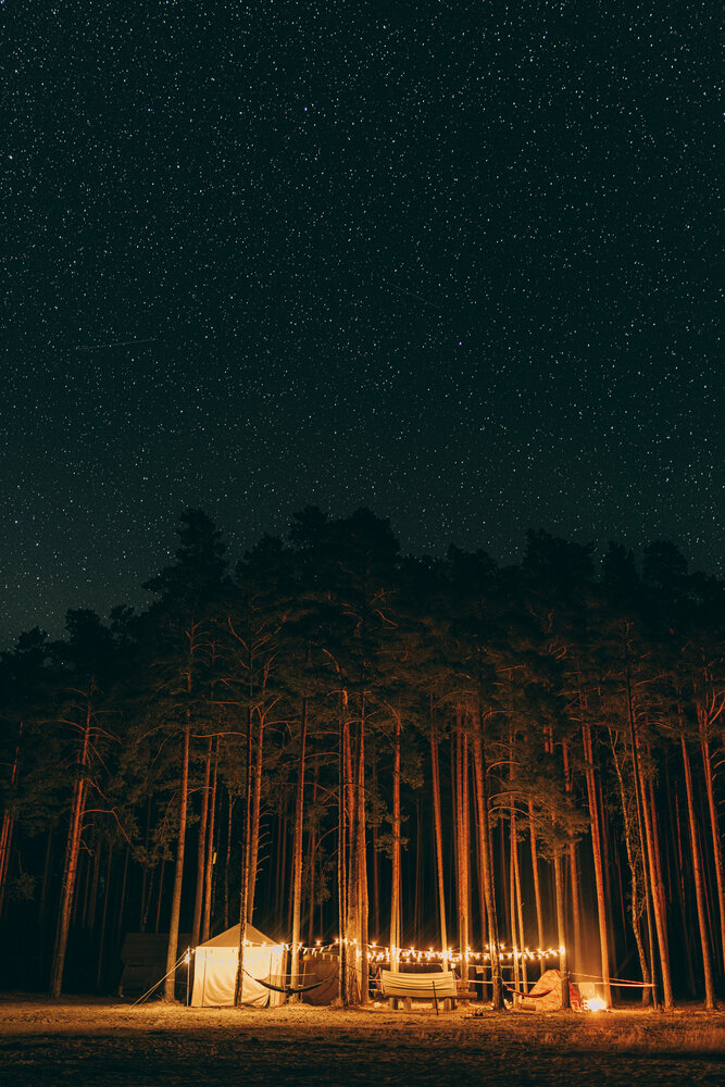 Photograph by Елена Копылова