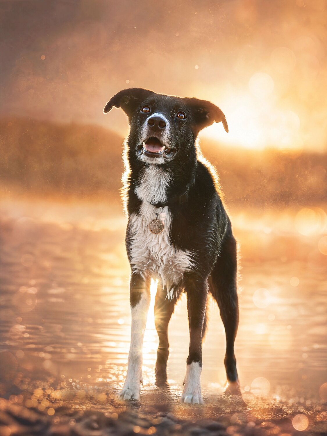 Photo #13972559