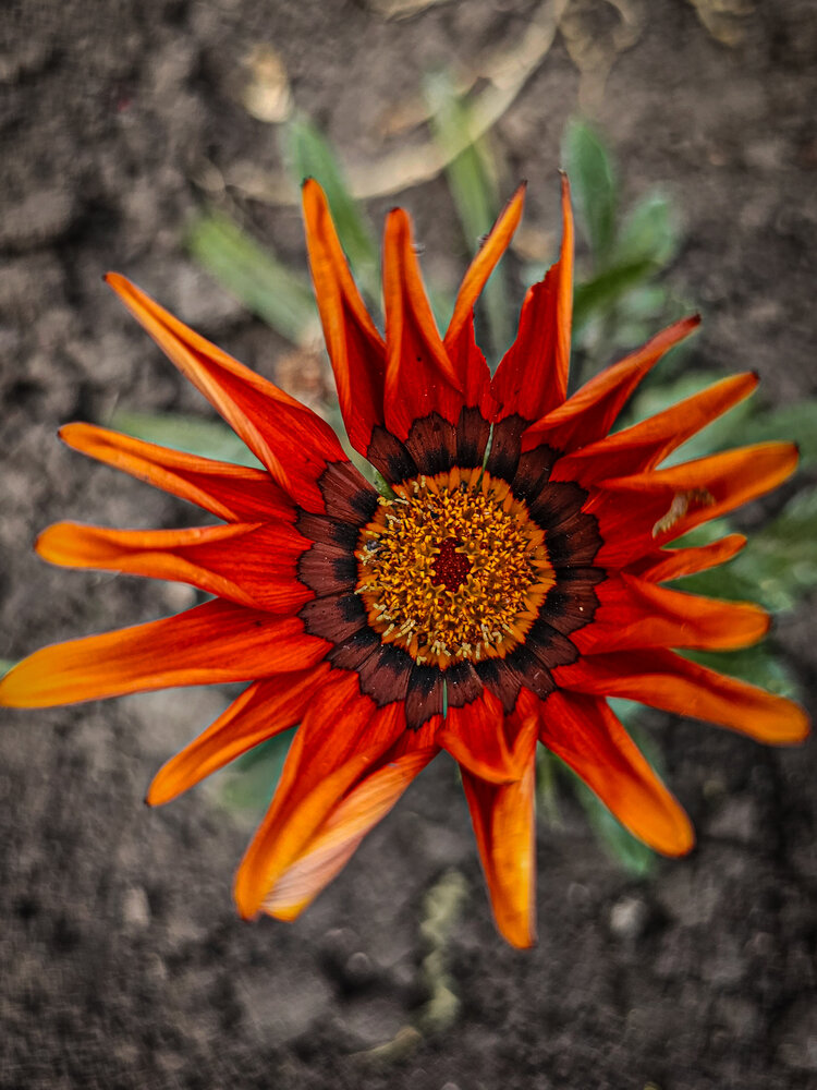 Photograph by Татьяна Небрат