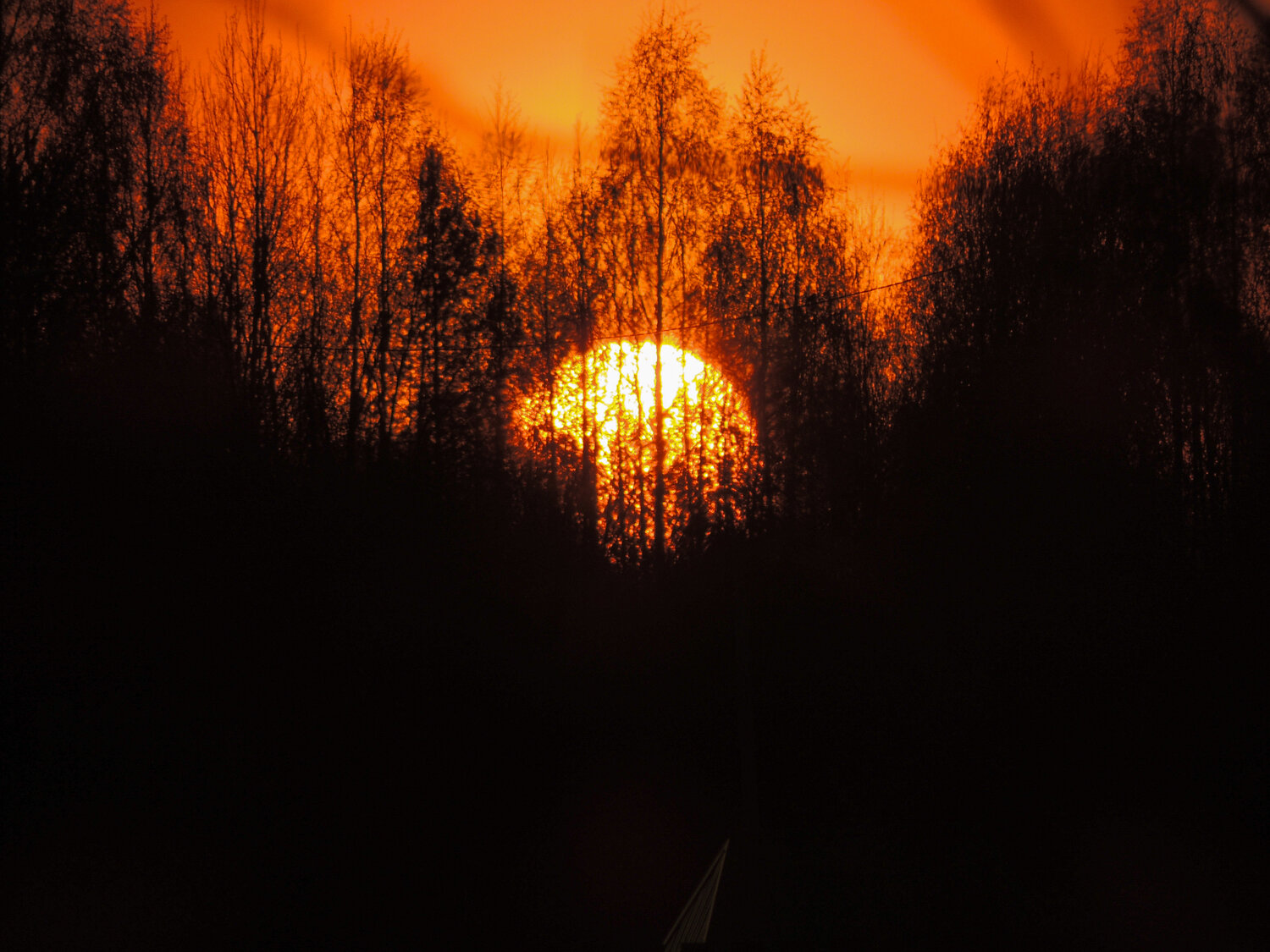 Photo #13972600