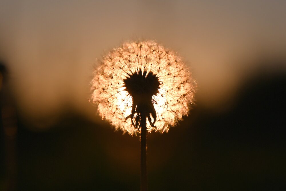 Photograph by Ксения Щербань