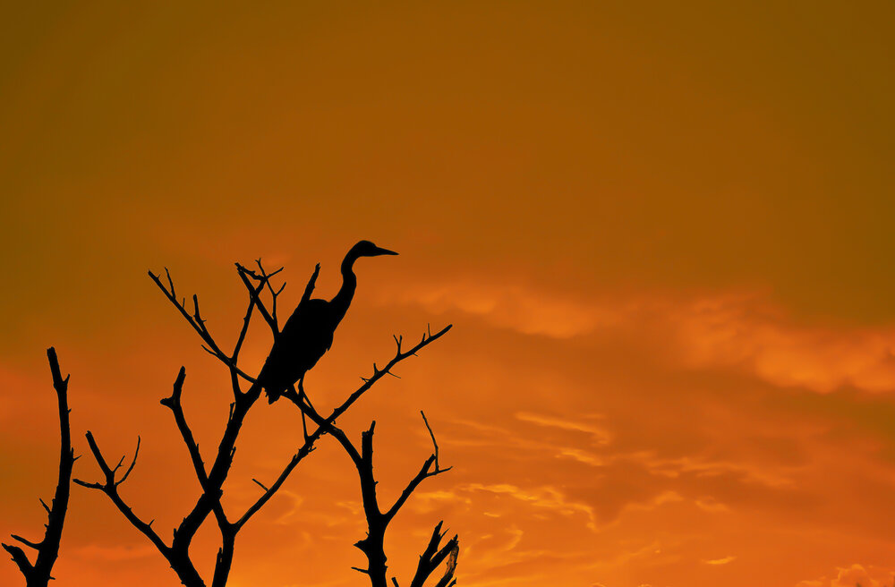Photograph by Raed Victor Saad
