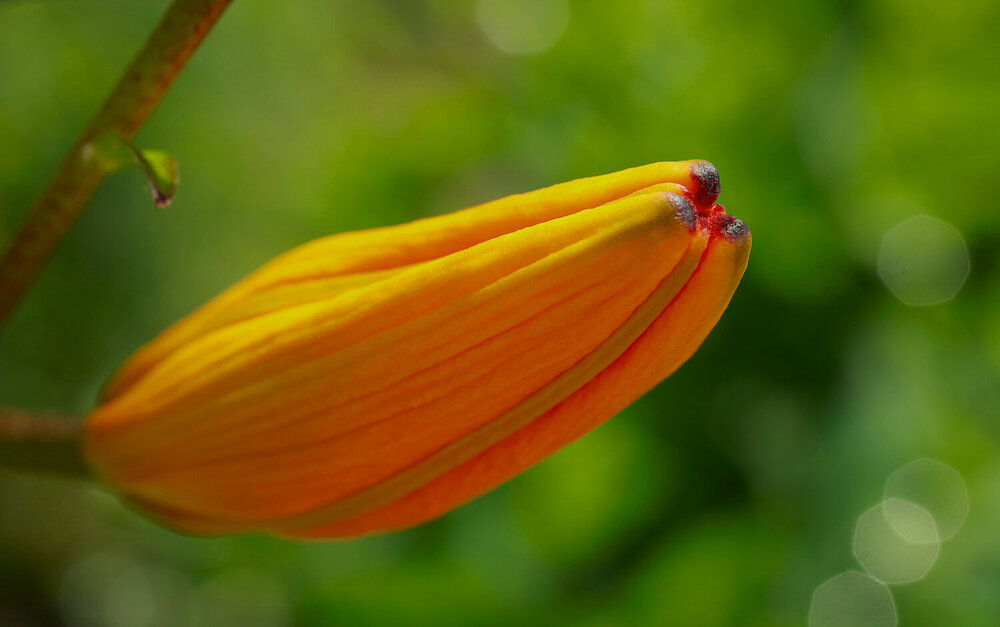 Photograph by Гагик Саркисян