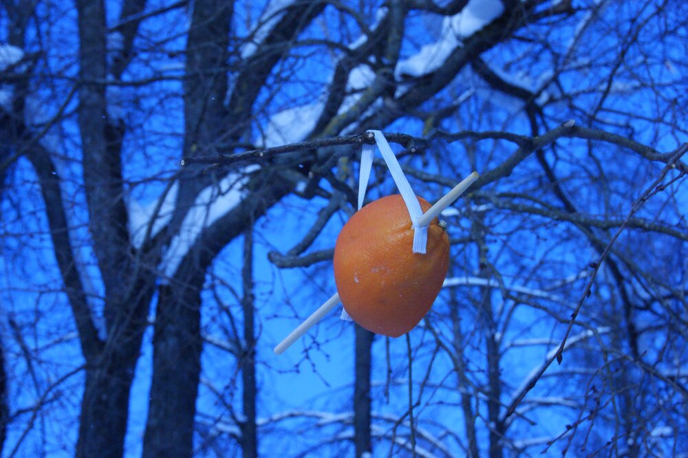 Photograph by Елена