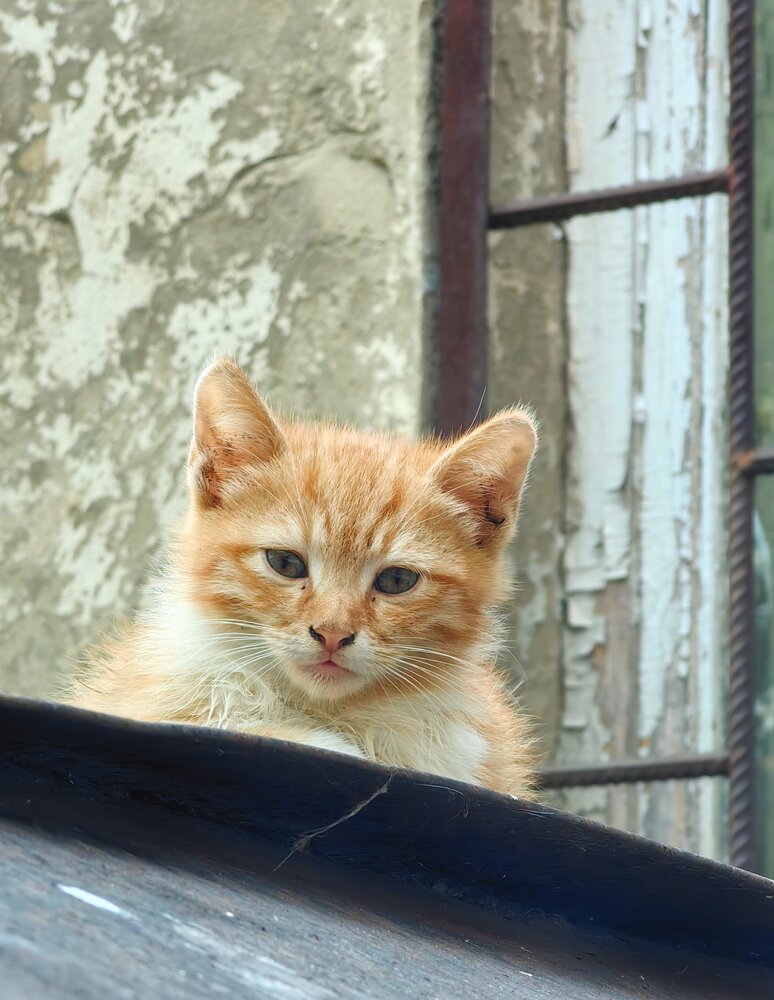 Photograph by Игорь Крыжко