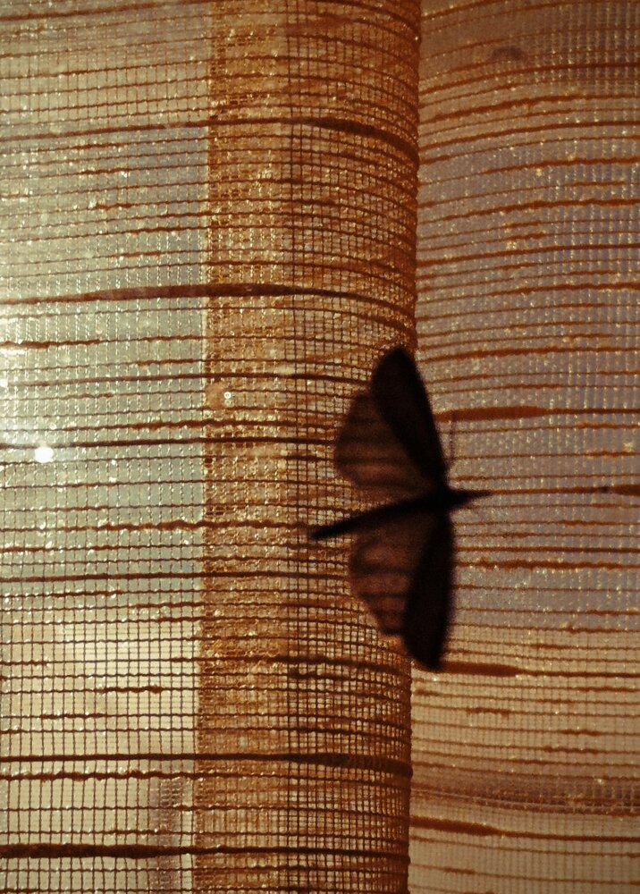 Photograph by Наталья Смирнова