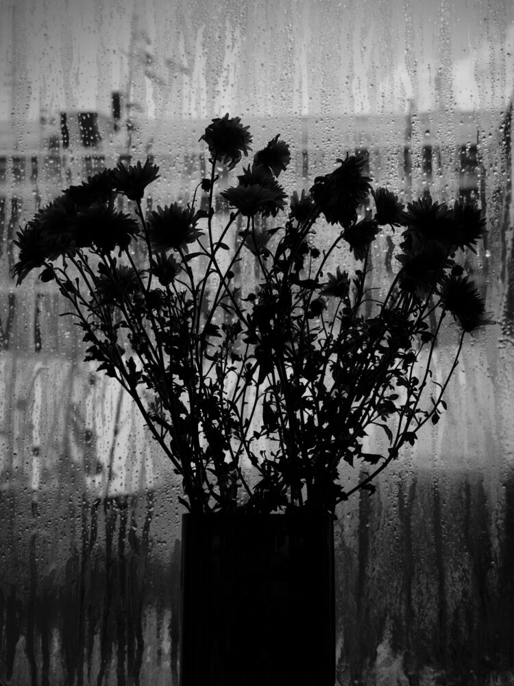 Photograph by Наталья Веселкина