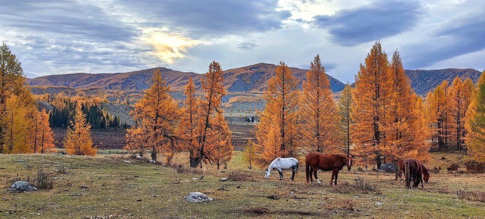 Осень в Джазаторе