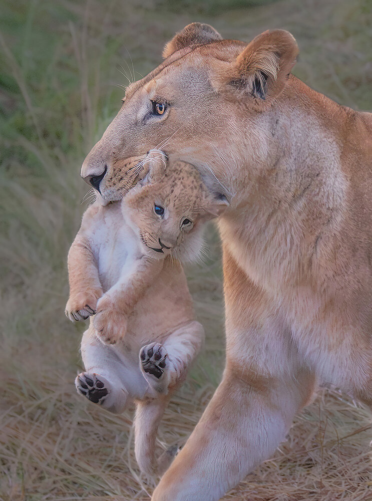 Photograph by Rohan Shah