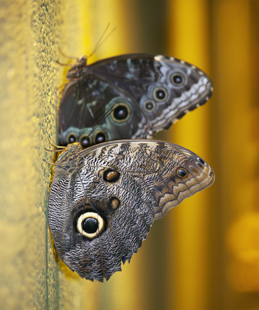 Photograph by Мила Миронова