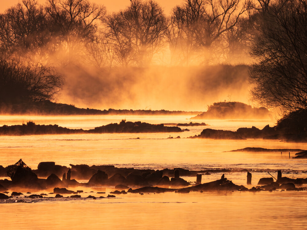Photograph by Gunma No UMA