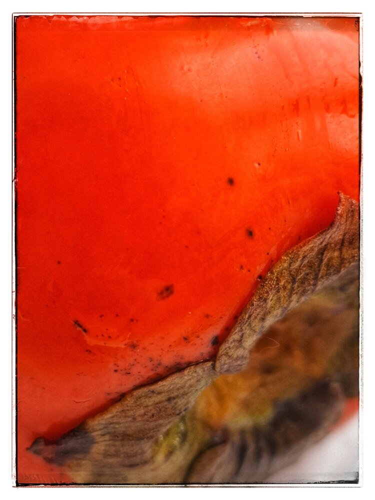 Photograph by Наталья Макаренкова