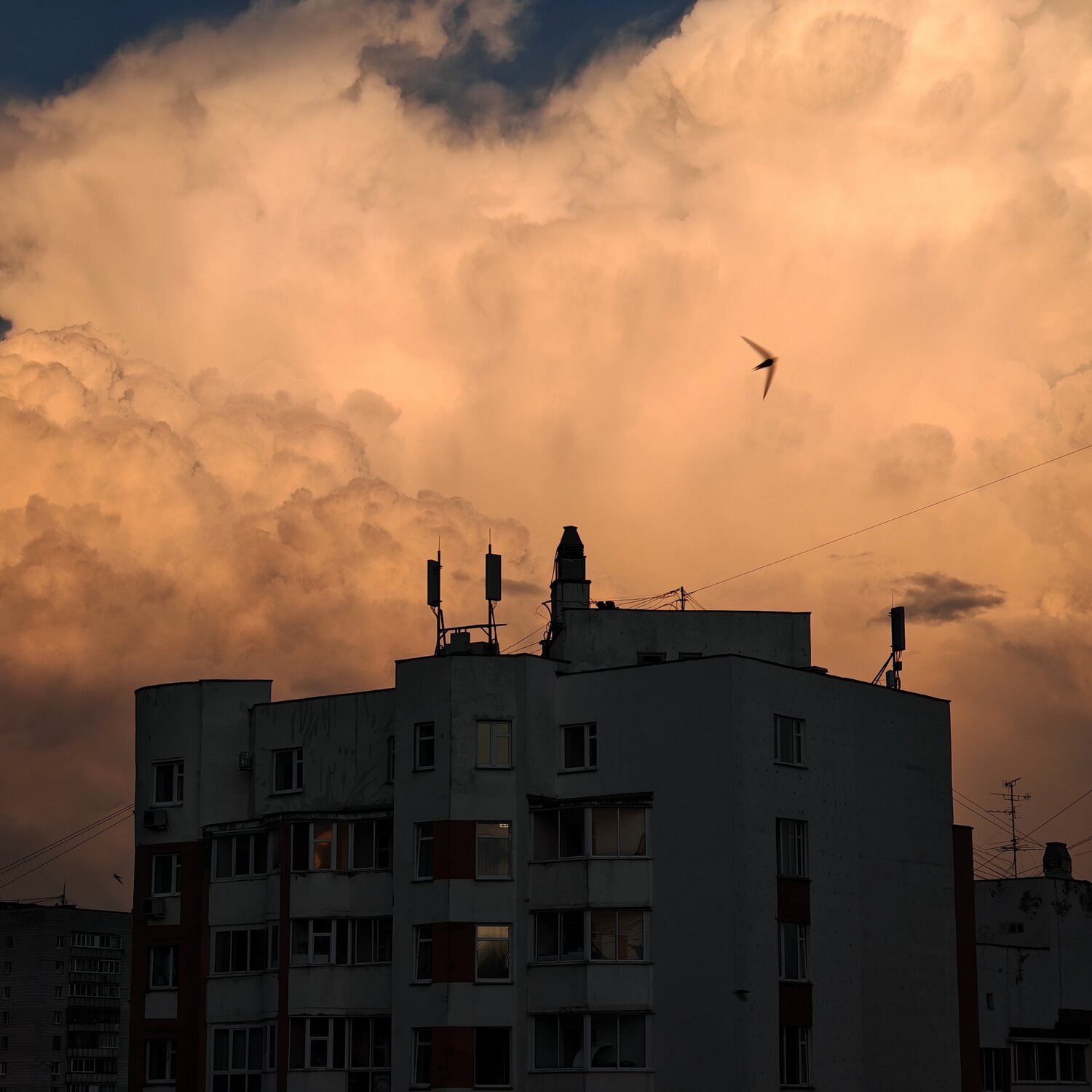 Photo #13973418