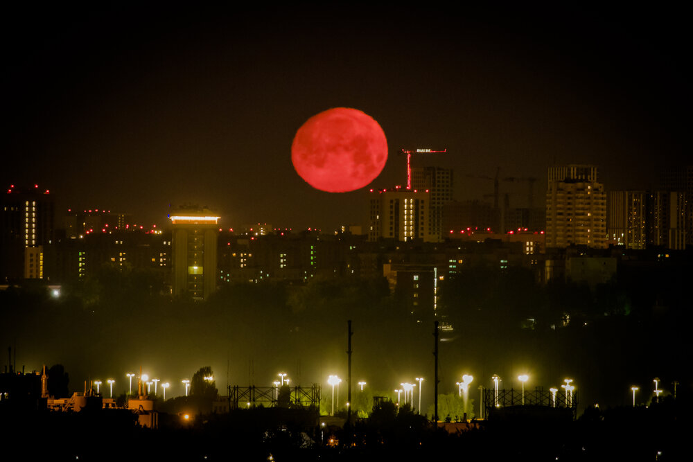 Photograph by Владимир Говоров