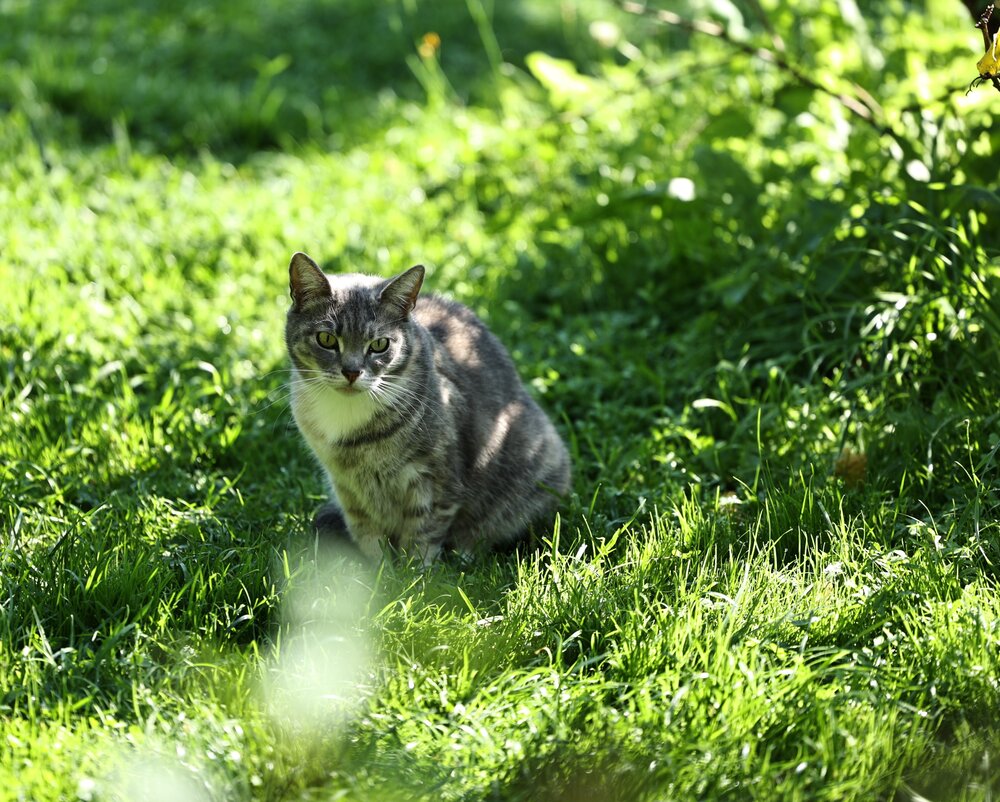 Photograph by Елена Одынец