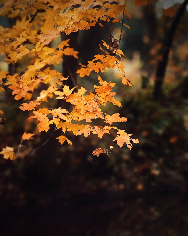 Photograph by Ярославна