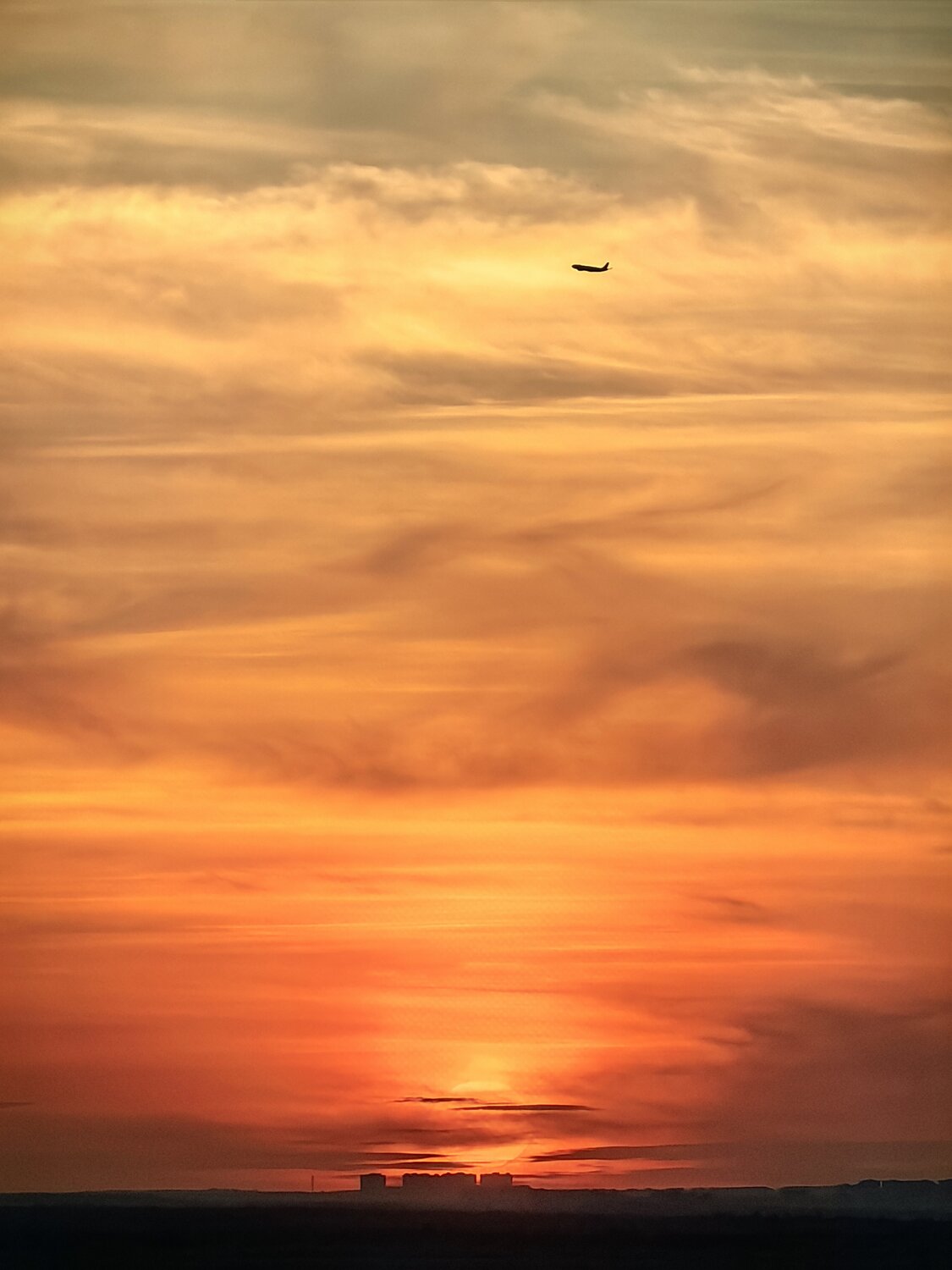 Photo #13973502