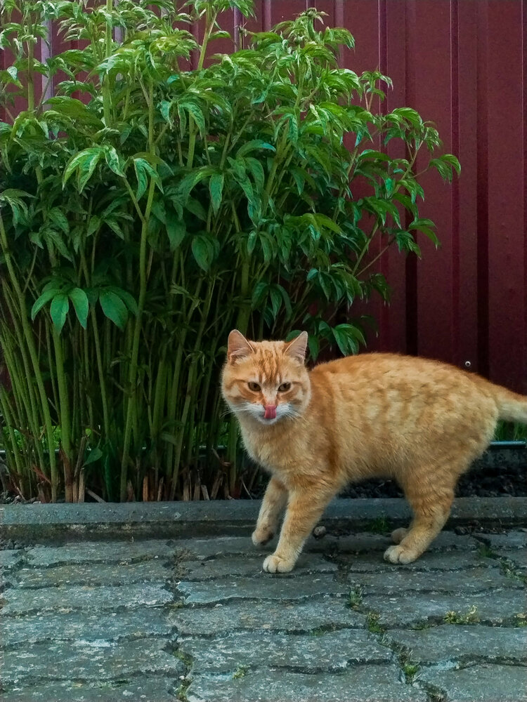 Photograph by Liudmila Pilets