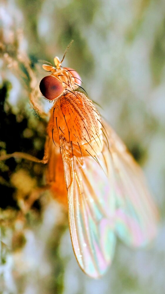 Photograph by Hamza Mushtaq