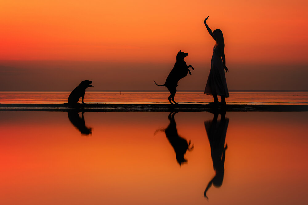 Photograph by Зубкова Юлия
