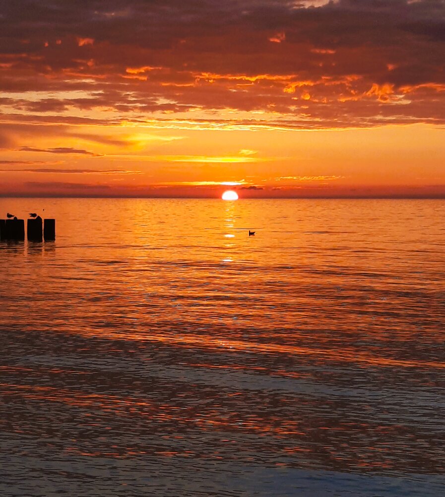 Photograph by Maciej Morgiel