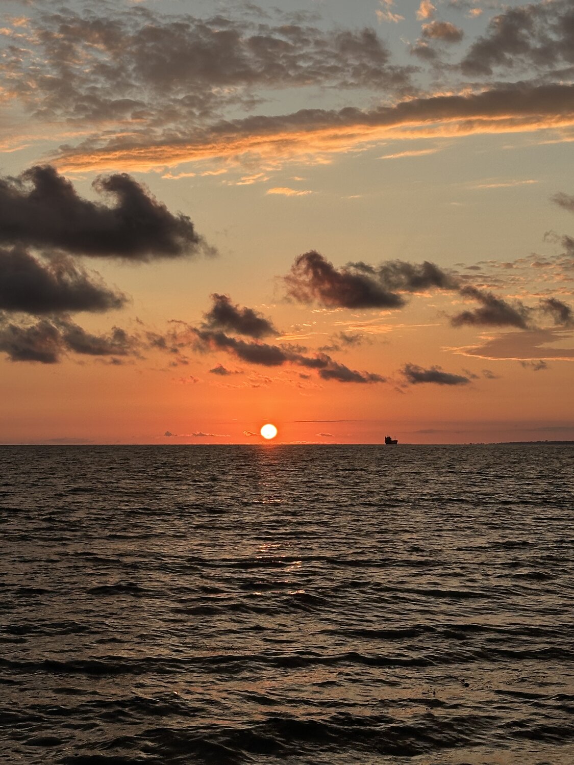 Photo #13973748