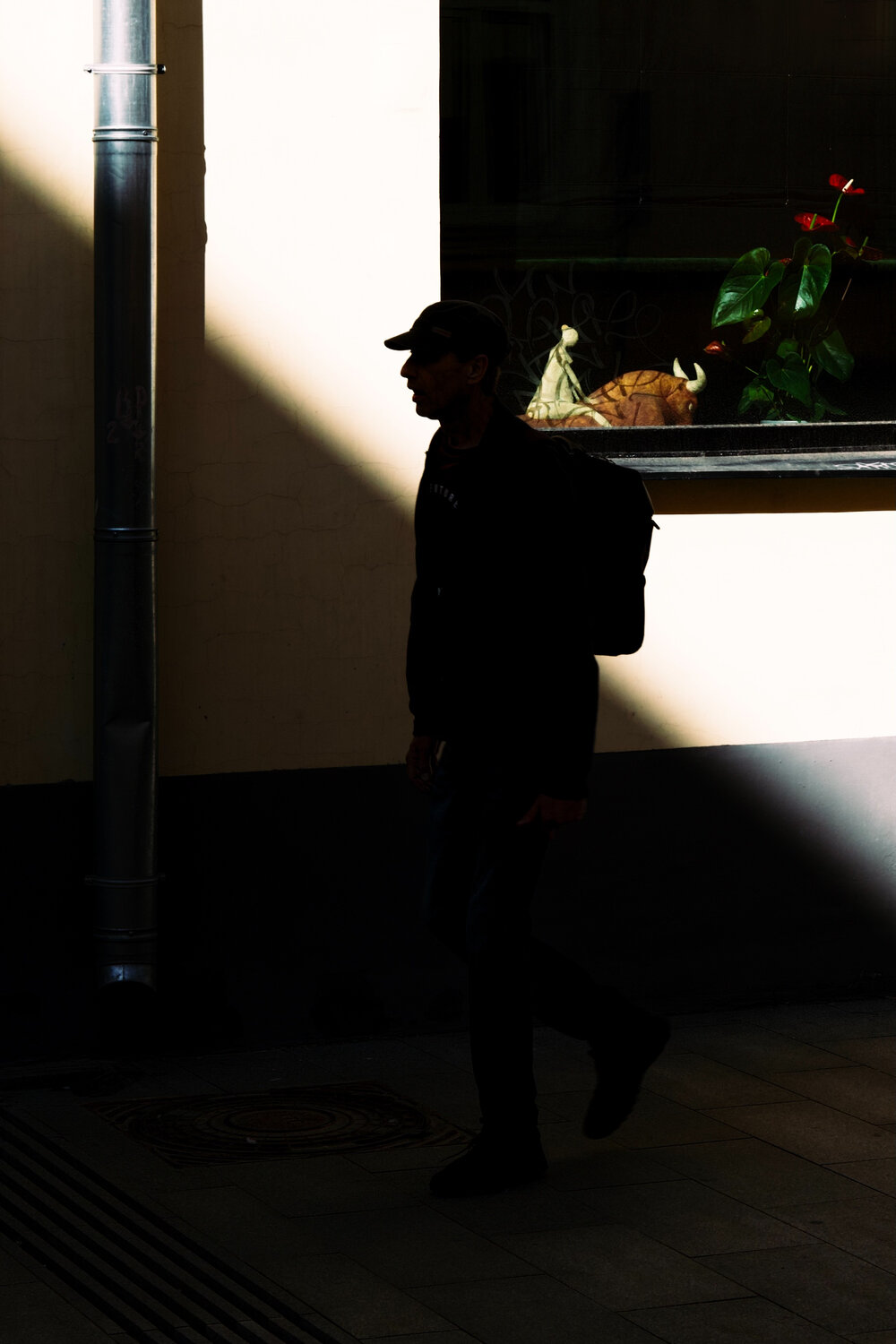 Photo #13973763