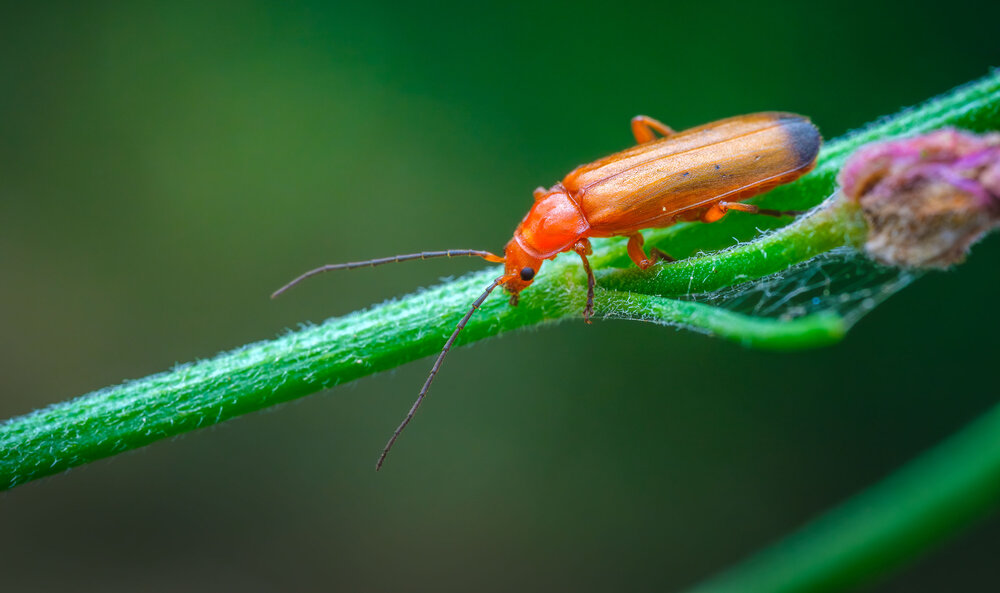 Photograph by Владимир Сковородников