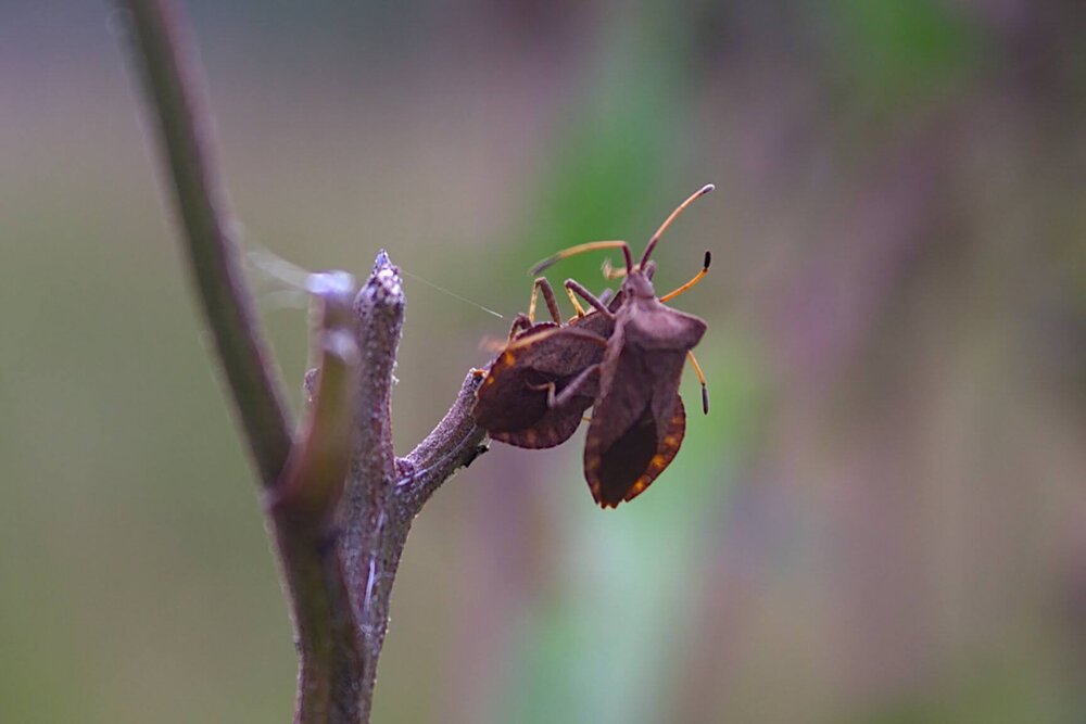 Photograph by Евгений Беленков