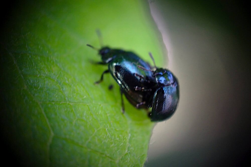 Photograph by Евгений Беленков