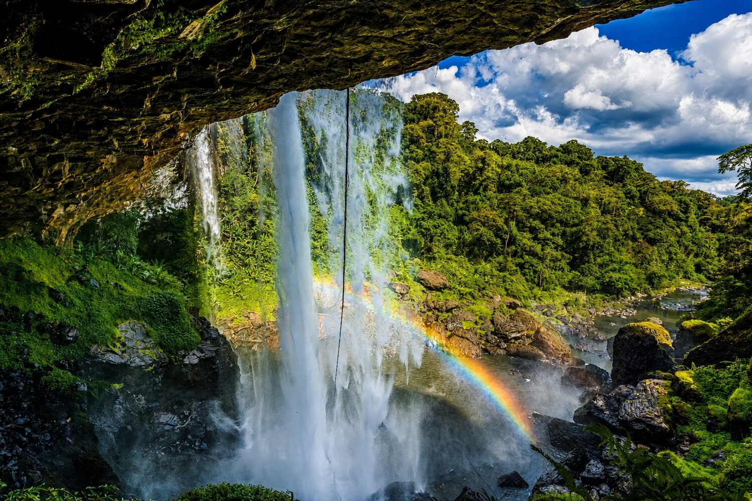 Magical Rainbow