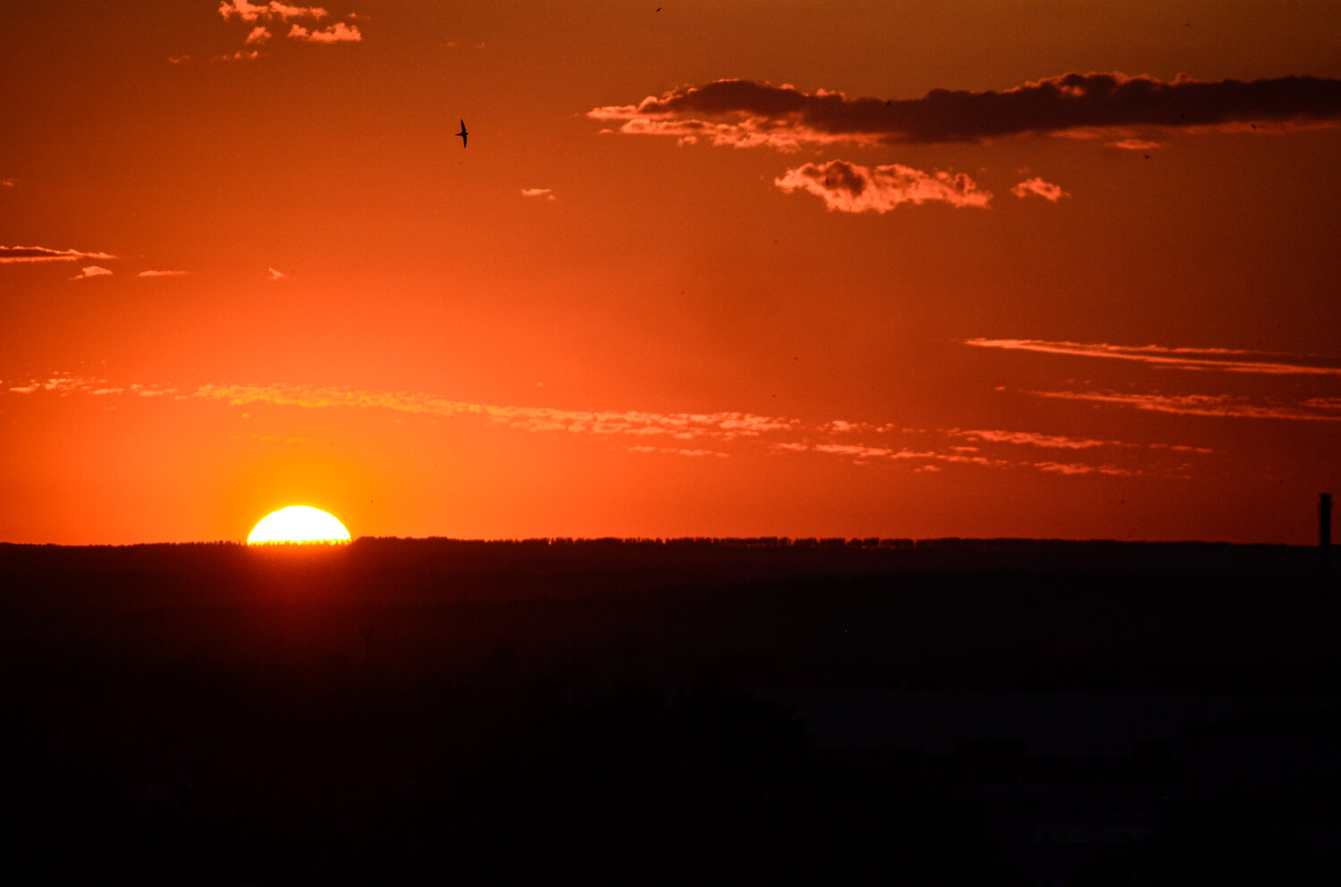 Photo #13973932