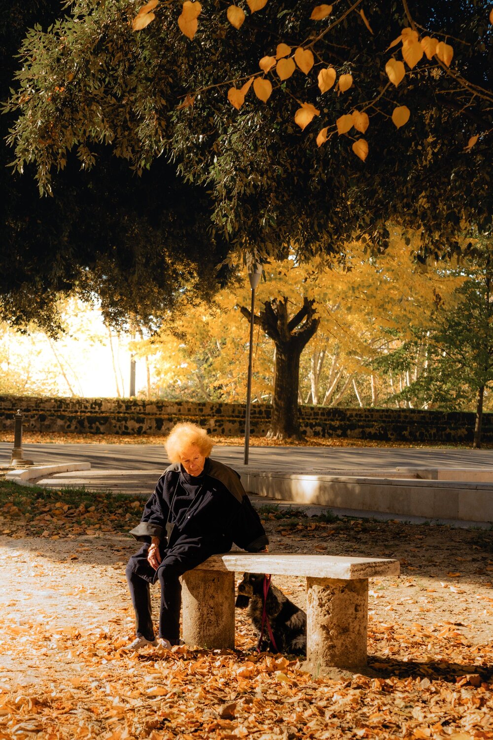 Photo #13973963