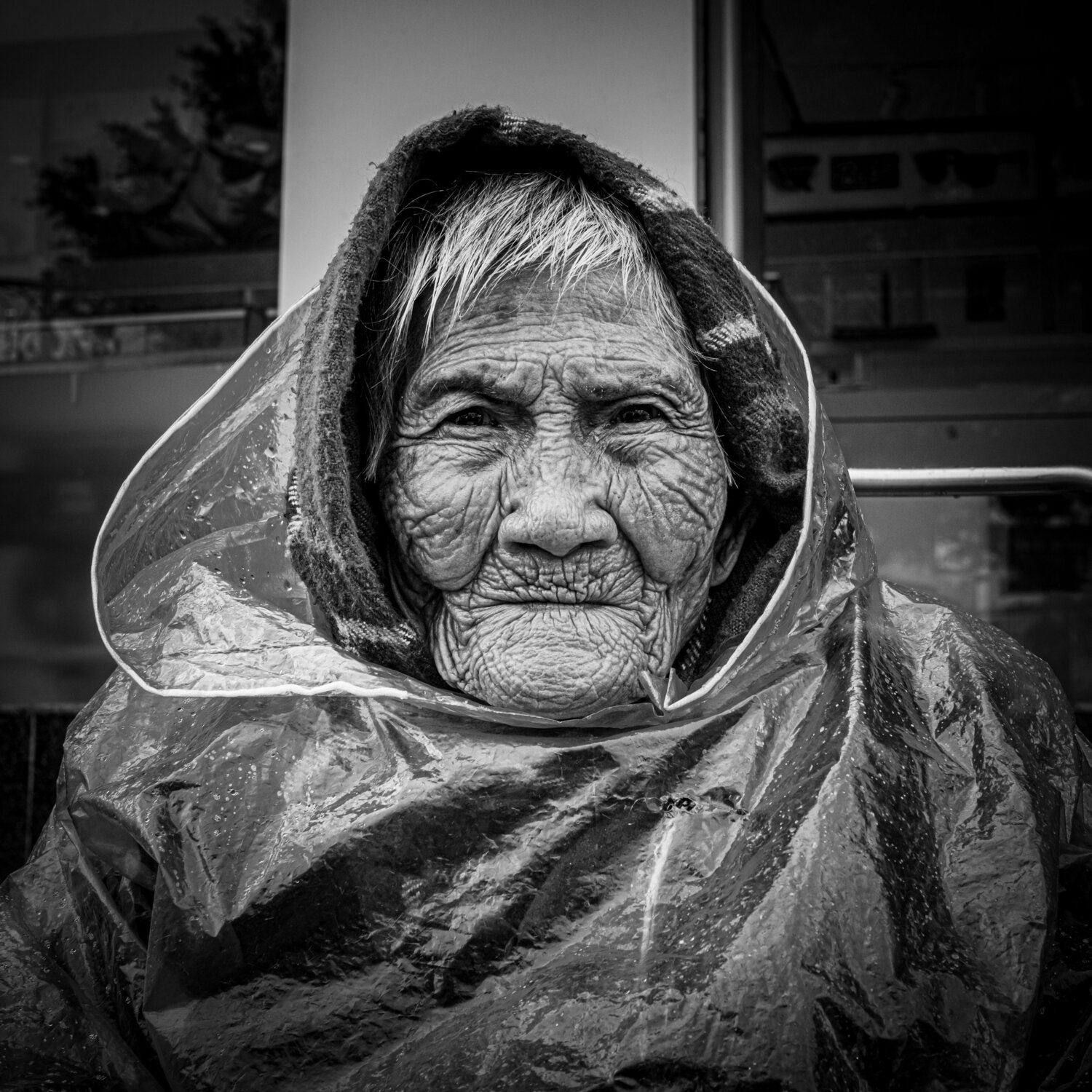 Photo #13974130