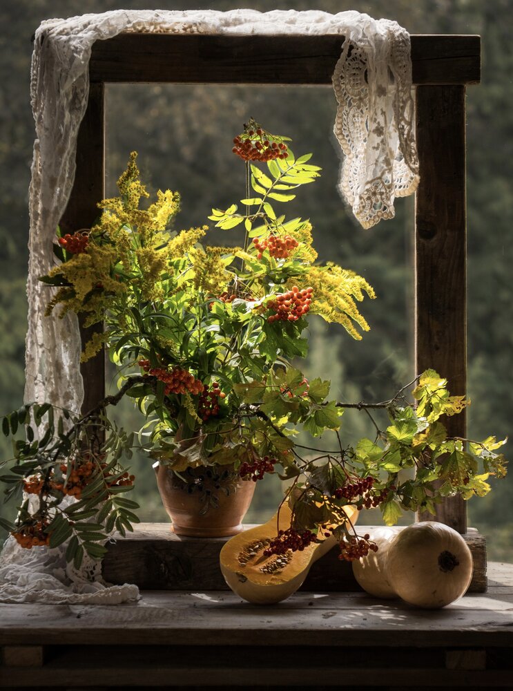 Photograph by Olga Schmidt