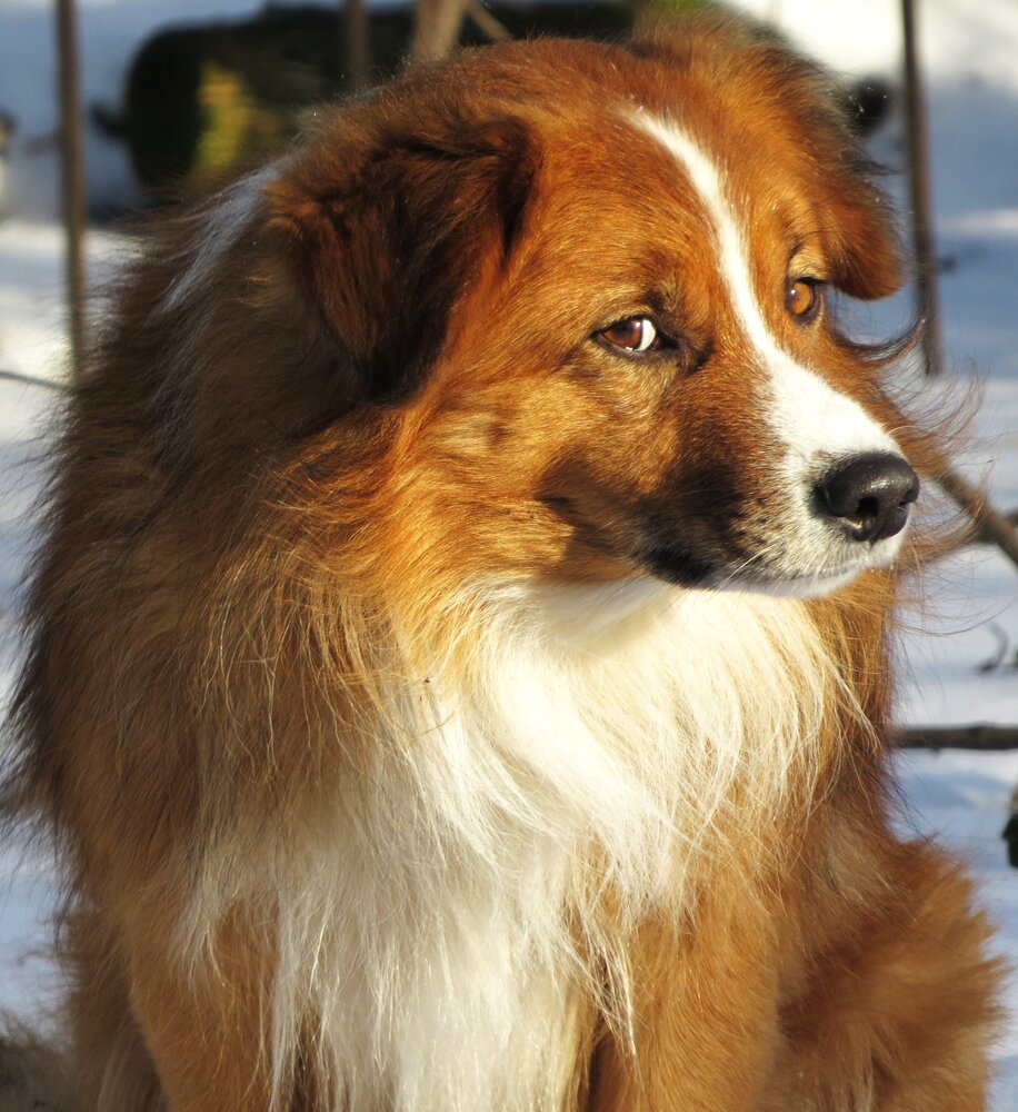 Photograph by Лариса Басова
