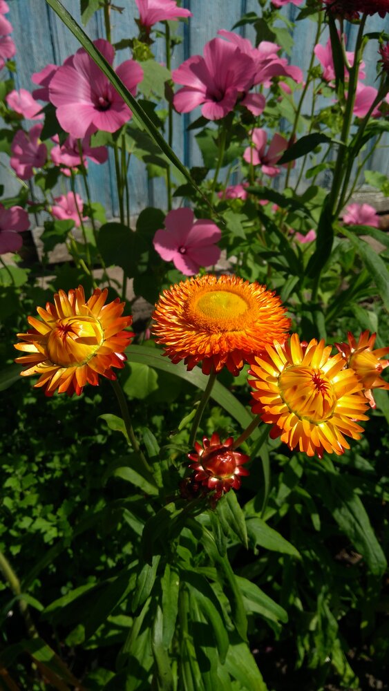 Photograph by Татьяна Гореленкова